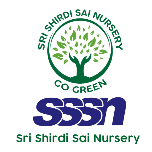 cropped-logo-SSSN.png